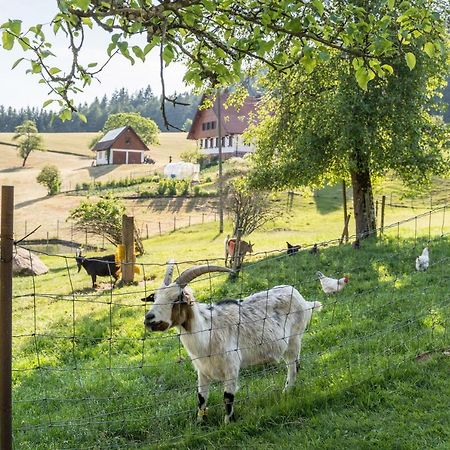 Klausenhansenhof Wolfach Buitenkant foto