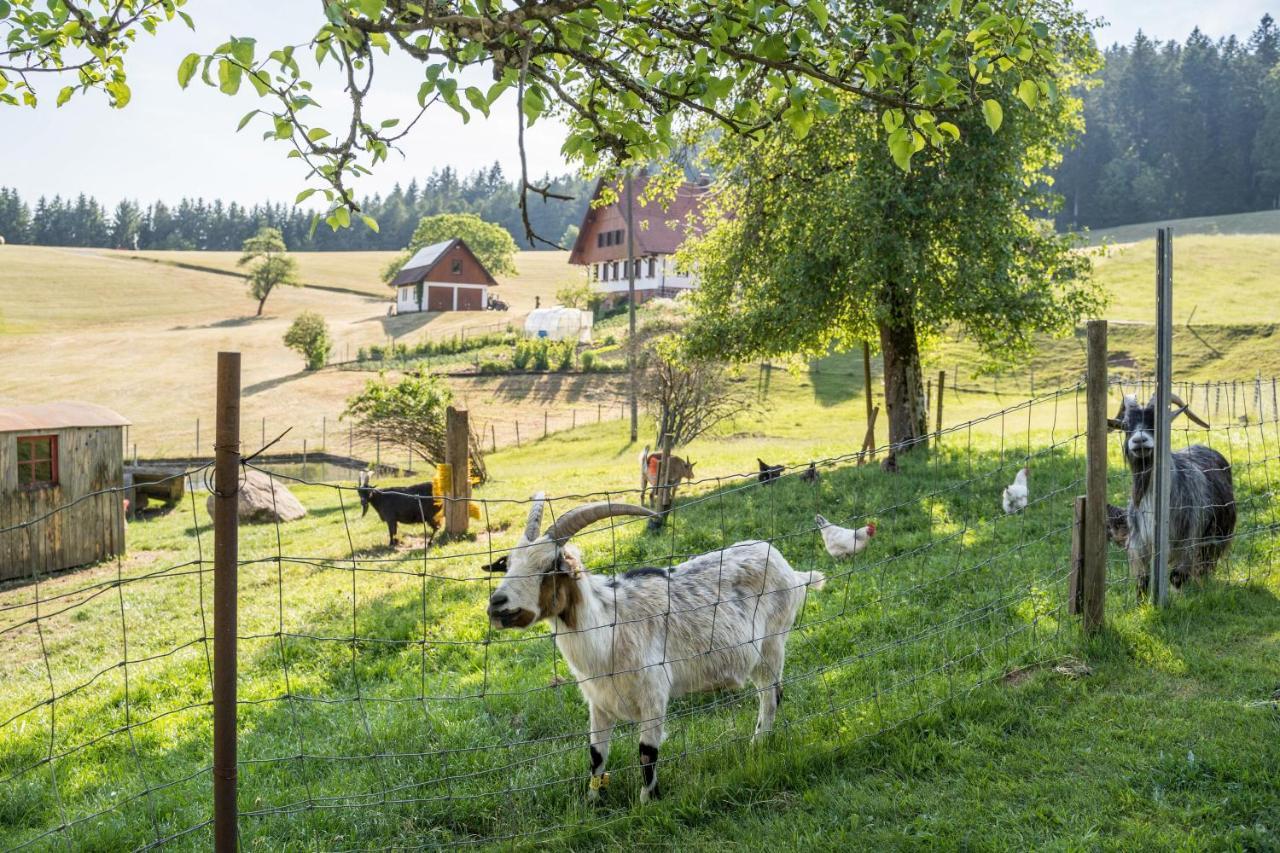 Klausenhansenhof Wolfach Buitenkant foto